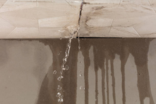 Professional Structural Drying technician working in Southgate, FL